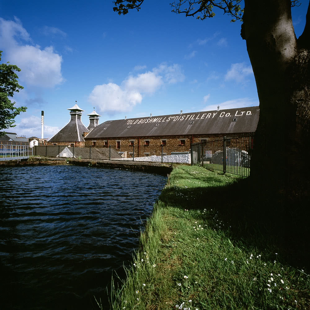 Bushmills Distillery - Lateltin AG